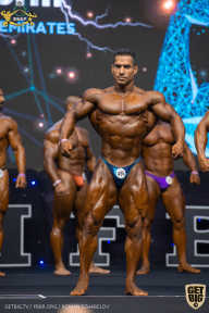 IFBB Чемпионат мира по бодибилдингу - 2019