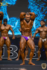 IFBB Чемпионат мира по бодибилдингу - 2019