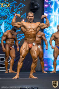 IFBB Чемпионат мира по бодибилдингу - 2019