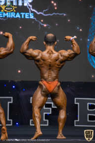 IFBB Чемпионат мира по бодибилдингу - 2019