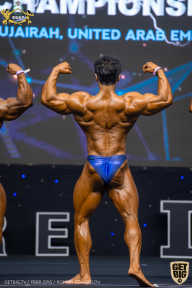 IFBB Чемпионат мира по бодибилдингу - 2019