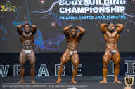 IFBB Чемпионат мира по бодибилдингу - 2019