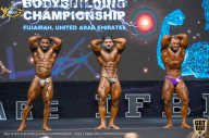 IFBB Чемпионат мира по бодибилдингу - 2019