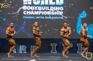 IFBB Чемпионат мира по бодибилдингу - 2019