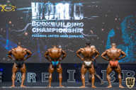 IFBB Чемпионат мира по бодибилдингу - 2019