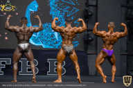 IFBB Чемпионат мира по бодибилдингу - 2019