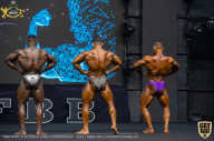 IFBB Чемпионат мира по бодибилдингу - 2019