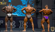 IFBB Чемпионат мира по бодибилдингу - 2019