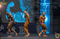 IFBB Чемпионат мира по бодибилдингу - 2019