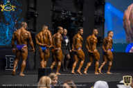 IFBB Чемпионат мира по бодибилдингу - 2019