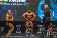 IFBB Чемпионат мира по бодибилдингу - 2019