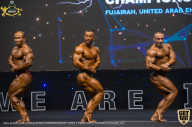 IFBB Чемпионат мира по бодибилдингу - 2019