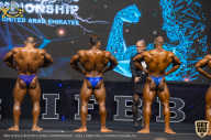 IFBB Чемпионат мира по бодибилдингу - 2019