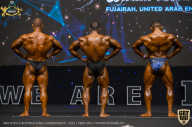 IFBB Чемпионат мира по бодибилдингу - 2019