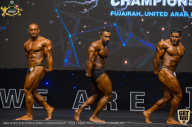 IFBB Чемпионат мира по бодибилдингу - 2019