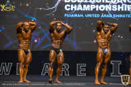 IFBB Чемпионат мира по бодибилдингу - 2019