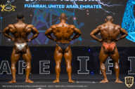 IFBB Чемпионат мира по бодибилдингу - 2019