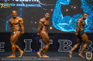 IFBB Чемпионат мира по бодибилдингу - 2019