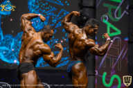 IFBB Чемпионат мира по бодибилдингу - 2019