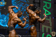 IFBB Чемпионат мира по бодибилдингу - 2019