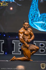 IFBB Чемпионат мира по бодибилдингу - 2019