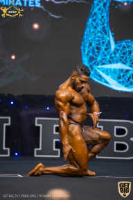 IFBB Чемпионат мира по бодибилдингу - 2019