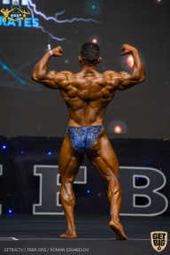 IFBB Чемпионат мира по бодибилдингу - 2019