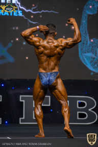 IFBB Чемпионат мира по бодибилдингу - 2019