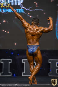 IFBB Чемпионат мира по бодибилдингу - 2019