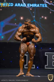 IFBB Чемпионат мира по бодибилдингу - 2019