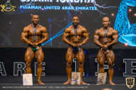 IFBB Чемпионат мира по бодибилдингу - 2019