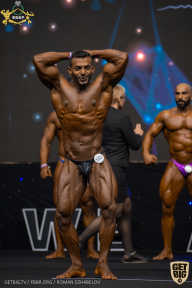 IFBB Чемпионат мира по бодибилдингу - 2019