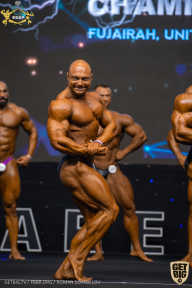 IFBB Чемпионат мира по бодибилдингу - 2019