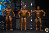 IFBB Чемпионат мира по бодибилдингу - 2019