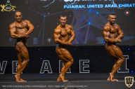 IFBB Чемпионат мира по бодибилдингу - 2019