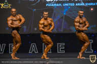 IFBB Чемпионат мира по бодибилдингу - 2019