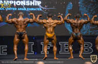 IFBB Чемпионат мира по бодибилдингу - 2019