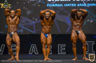 IFBB Чемпионат мира по бодибилдингу - 2019