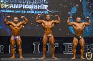 IFBB Чемпионат мира по бодибилдингу - 2019