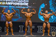 IFBB Чемпионат мира по бодибилдингу - 2019