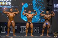 IFBB Чемпионат мира по бодибилдингу - 2019