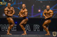 IFBB Чемпионат мира по бодибилдингу - 2019