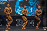 IFBB Чемпионат мира по бодибилдингу - 2019