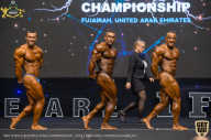 IFBB Чемпионат мира по бодибилдингу - 2019