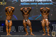 IFBB Чемпионат мира по бодибилдингу - 2019