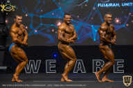 IFBB Чемпионат мира по бодибилдингу - 2019