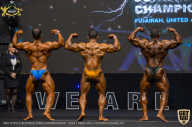 IFBB Чемпионат мира по бодибилдингу - 2019