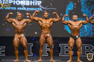 IFBB Чемпионат мира по бодибилдингу - 2019