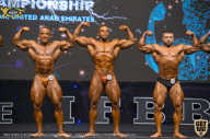 IFBB Чемпионат мира по бодибилдингу - 2019