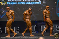 IFBB Чемпионат мира по бодибилдингу - 2019